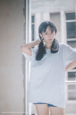 野出租