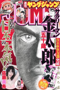 拉斐爾定律